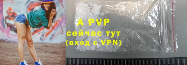стафф Заводоуковск