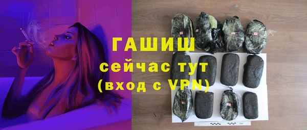 стаф Ельня