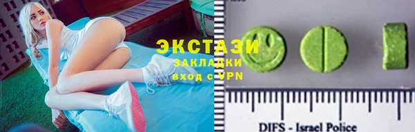 стаф Ельня