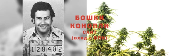бошки Елабуга