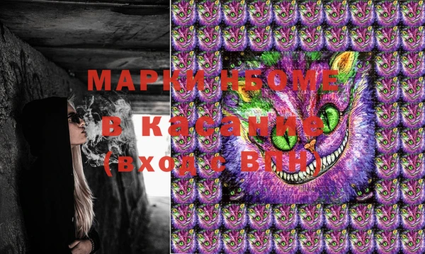 стафф Заводоуковск