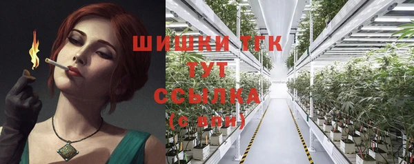 стафф Заводоуковск
