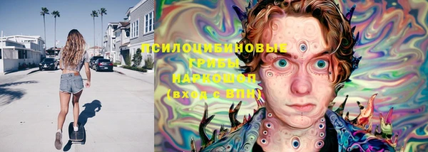 стафф Заводоуковск