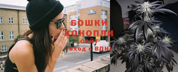 стафф Заводоуковск